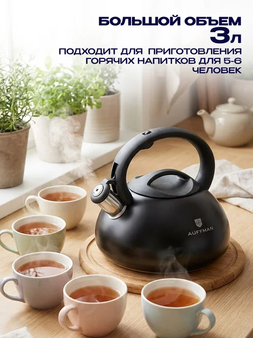 GT Чайник для плиты со свистком индукции 3 л, 3 л, фото 7