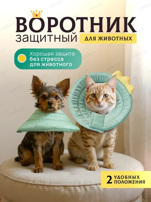 Amoxy-pets Защитный воротник для животных кошек и собак ветеринарный, зеленый