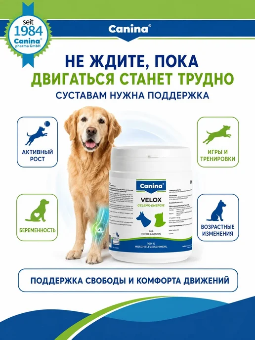 Canina pharma GmbH Хондропротектор для собак и кошек Canina Velox Gelenk, 150 г, 150 г, фото 8