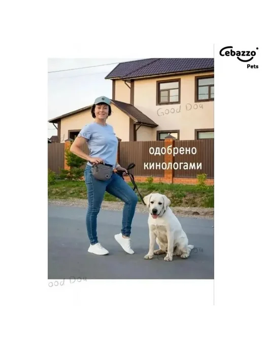 Сумка для лакомств 3-в-1, вариант, фото 3