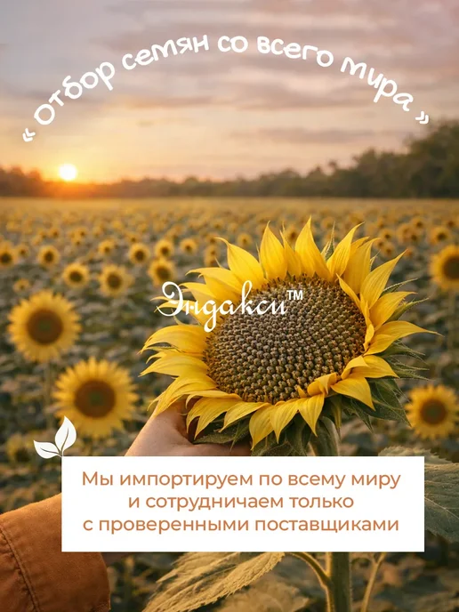 Смесь семян для салатов 1 кг, 1 кг, фото 7