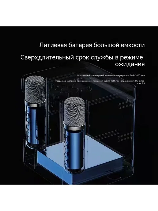 Портативный караоке-блютуз колонка YS203, вариант, фото 8