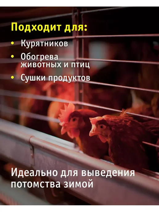Инфракрасная лампа для обогрева птиц и животных 150 Вт, 150 Вт, фото 3