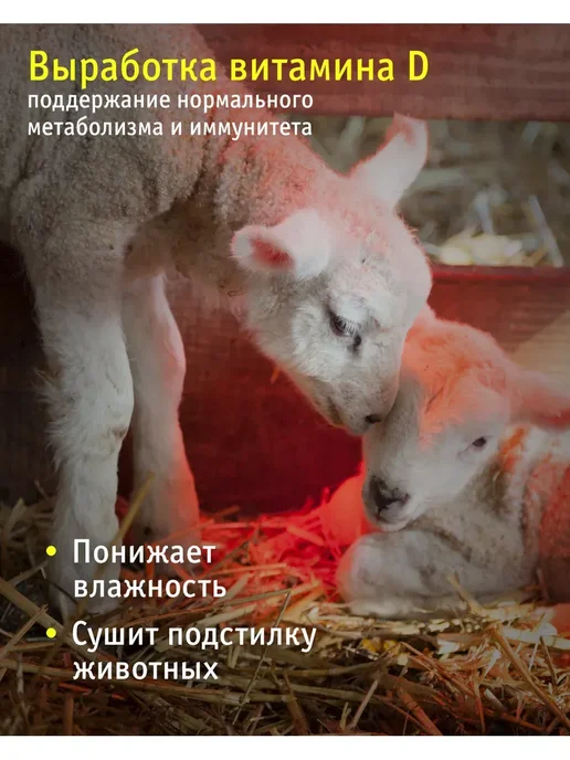 Инфракрасная лампа для обогрева птиц и животных 150 Вт, 150 Вт, фото 4