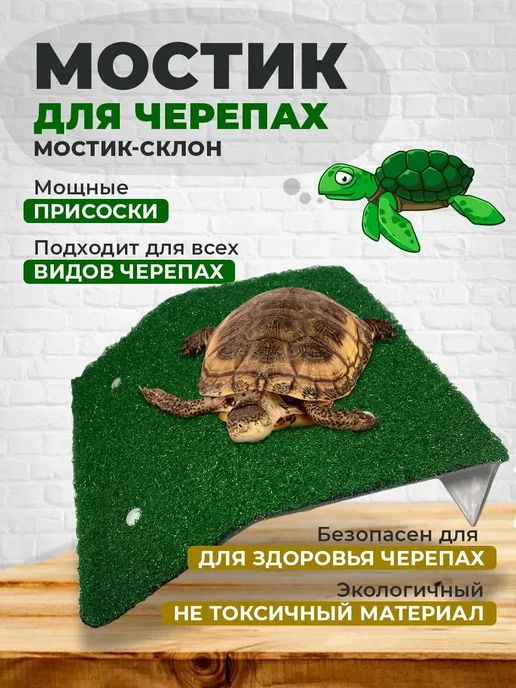 Мостик для черепах 120x200 мм + склон зеленый, прозрачный, 120x200 мм