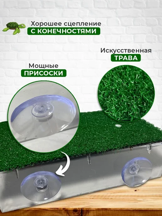 Мостик для черепах 120x200 мм + склон зеленый, прозрачный, 120x200 мм, фото 3