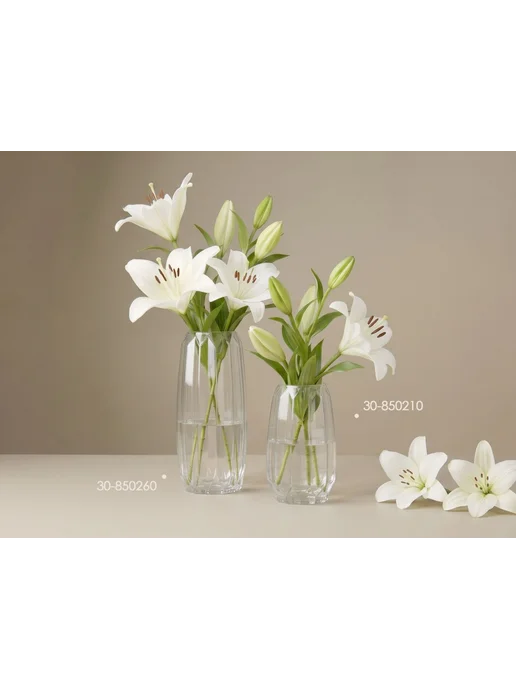 PERFECTO LINEA Ваза для цветов Beloved стеклянная 20х10 см, 20x10 см, фото 3
