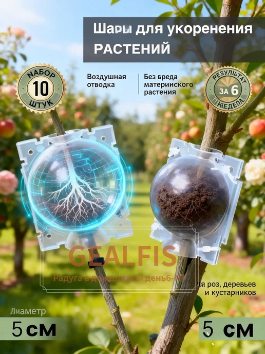 Набор для выращивания, вариант