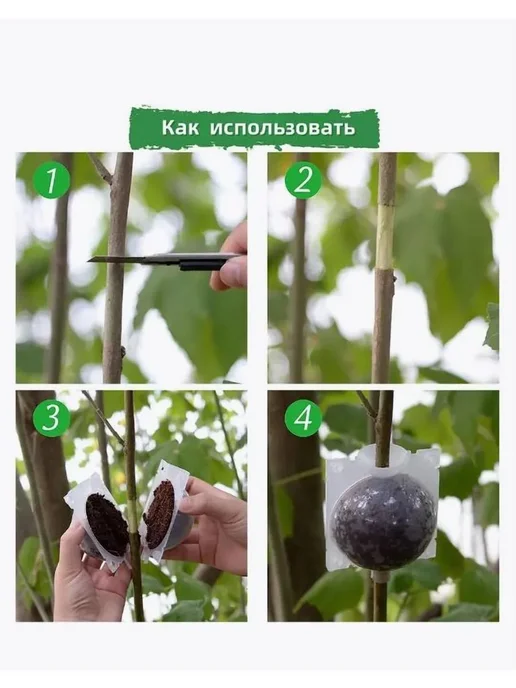Набор для выращивания, вариант, фото 5