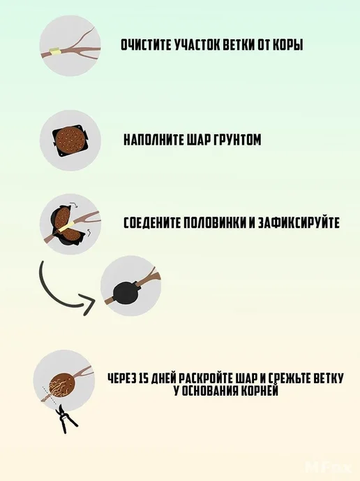 Набор для выращивания, вариант, фото 5