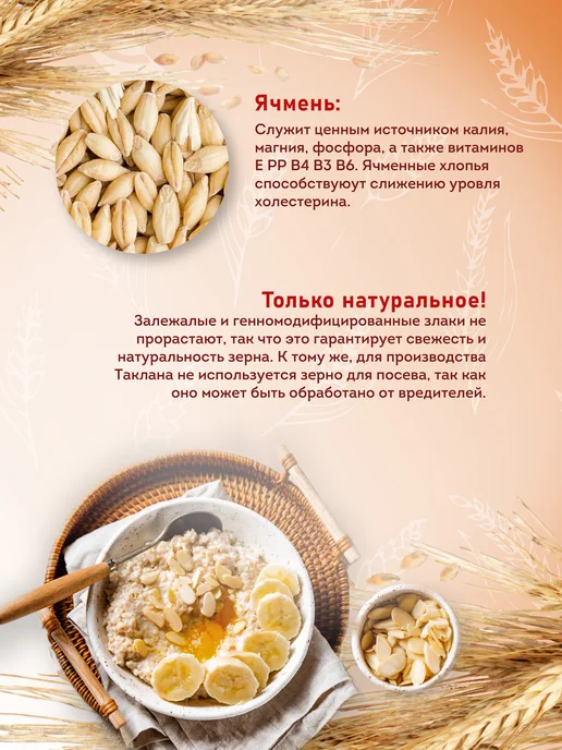 Актирман Талкан здоровая еда 4 злака в стик-пакетах, вариант, фото 4