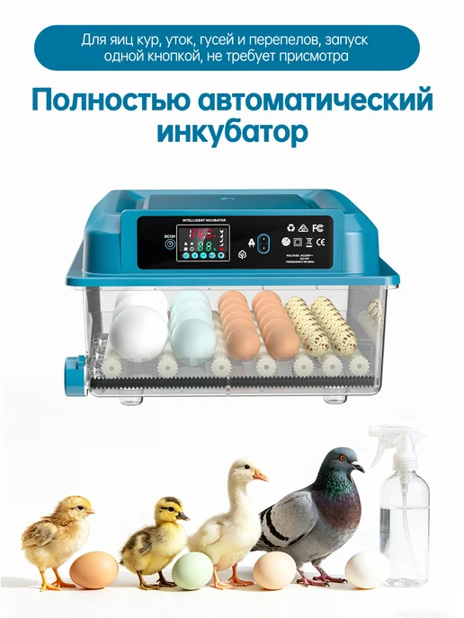 Автоматический инкубатор для яиц 220В 12В, зеленый