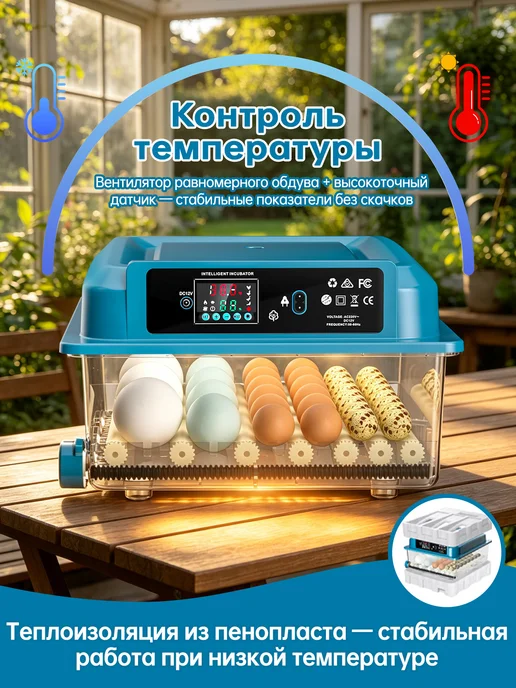 Автоматический инкубатор для яиц 220В 12В, зеленый, фото 2