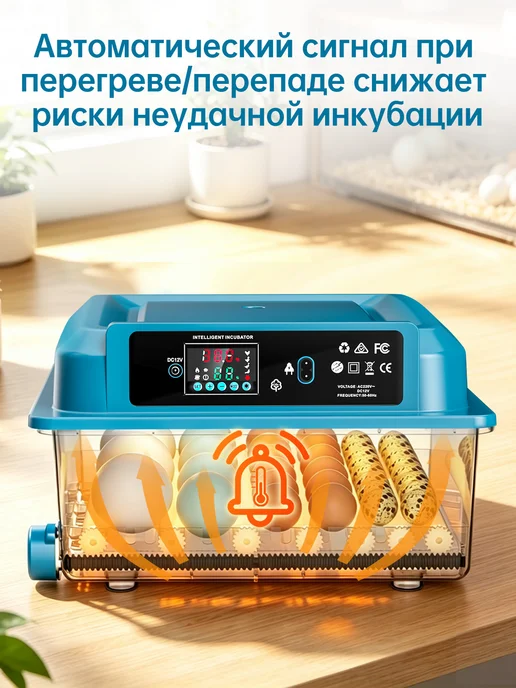 Автоматический инкубатор для яиц 220В 12В, зеленый, фото 4