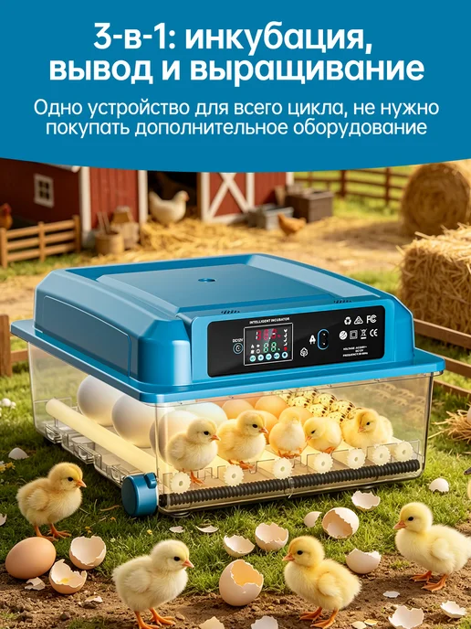 Автоматический инкубатор для яиц 220В 12В, зеленый, фото 6