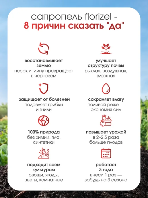 БиоМастер Органическое удобрение Сапропель, 2 кг, 2 кг, фото 2