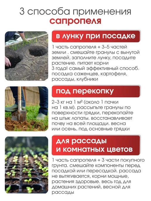 БиоМастер Органическое удобрение Сапропель, 2 кг, 2 кг, фото 3