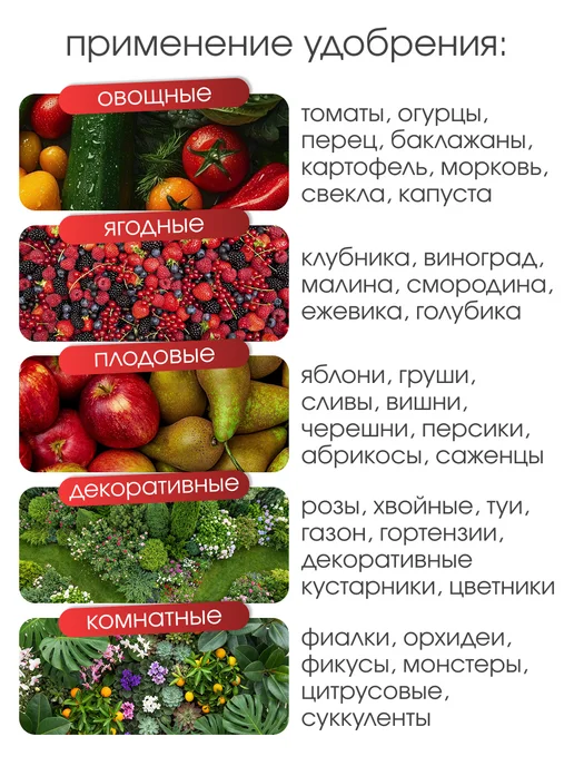 БиоМастер Органическое удобрение Сапропель, 2 кг, 2 кг, фото 4
