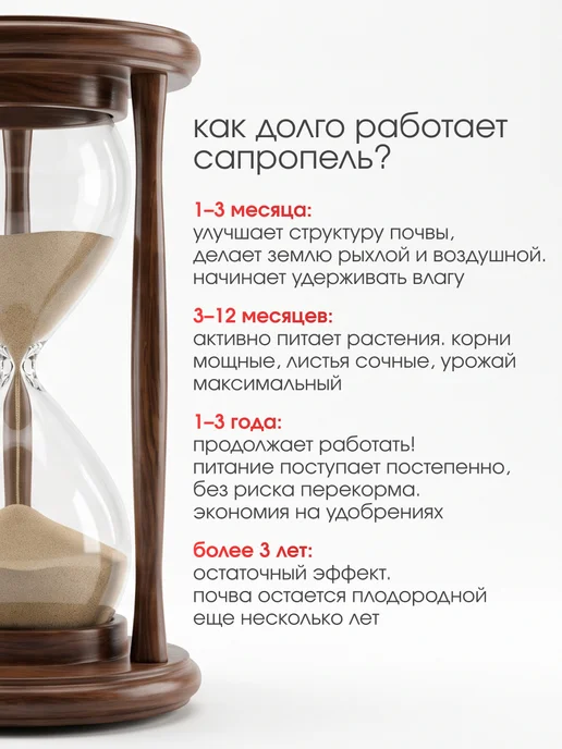 БиоМастер Органическое удобрение Сапропель, 2 кг, 2 кг, фото 6