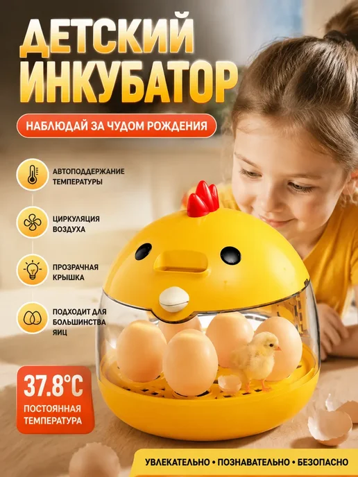 Детский инкубатор для яиц с прозрачной крышкой, белый, фото 2