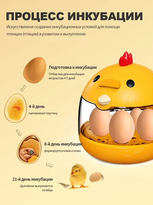 Детский инкубатор для яиц с прозрачной крышкой, белый, фото 5