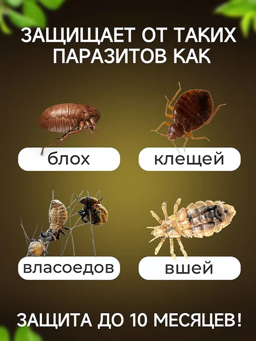 pawtters Ошейник для собак от блох и клещей,63CM,серый, синий, фото 4