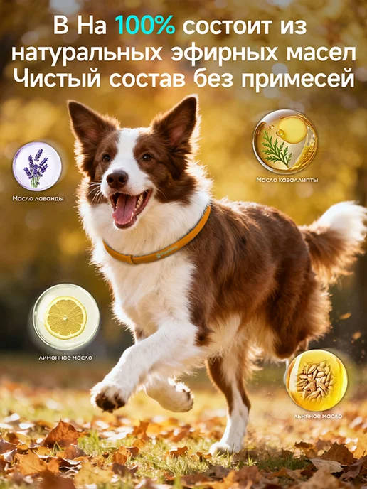 pawtters Ошейник для собак от блох и клещей,63CM,серый, оранжевый, фото 2