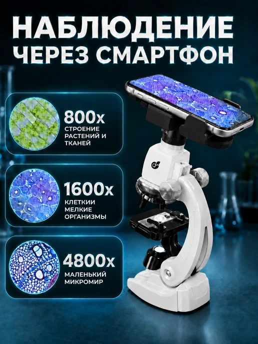 JORIXLAND Микроскоп детский 4800х с образцами и держателем телефона, белый, фото 6