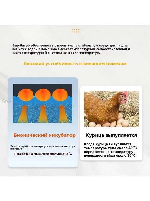 Инкубатор для яиц, 10 шт, 220 В, 10 шт, фото 4