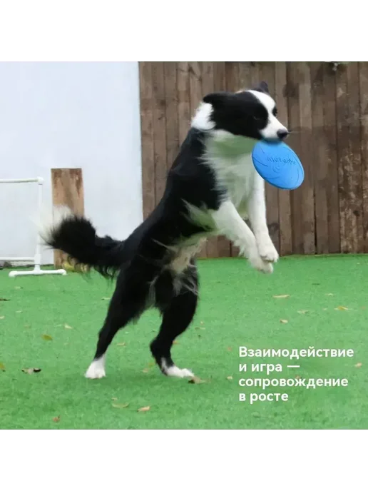 Большое фрисби 22см 22cm для активных игр на улице, вариант, фото 6