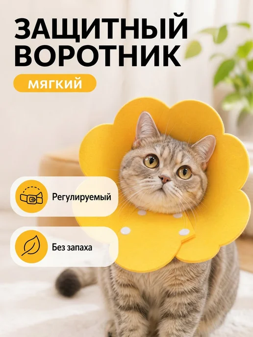 Защитный ветеринарный воротник для кошек и маленьких собак, вариант