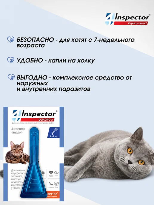 inspector Капли от клещей блох глистов для кошек Quadro до 4 кг, 4 кг, фото 6