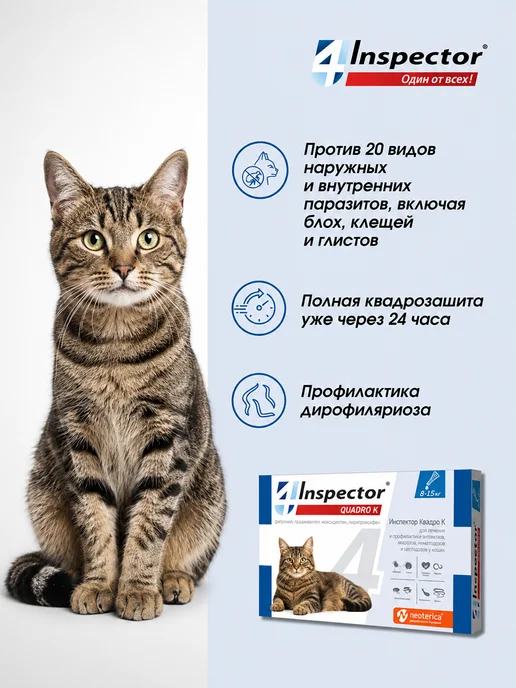 inspector Капли от клещей блох глистов для кошек Quadro 1-4кг, 3 шт, 14 кг, 3 шт, фото 2