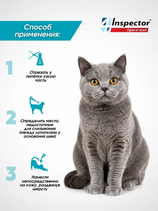 inspector Капли от клещей блох глистов для кошек Quadro 1-4кг, 3 шт, 14 кг, 3 шт, фото 6
