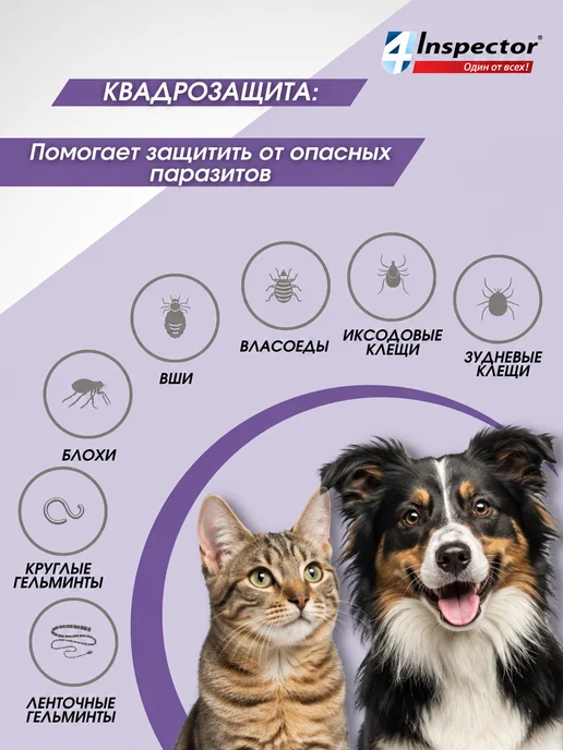 inspector Таблетки от клещей блох глистов для собак QUADRO 8-16 кг, 816 кг, фото 3