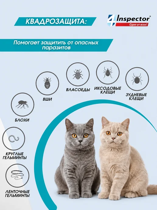 inspector Капли от клещей блох глистов для кошек Quadro до 4 кг, 48 кг, фото 3