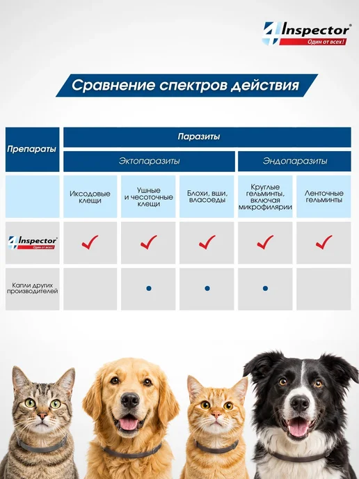 inspector Капли от клещей блох глистов для кошек Quadro до 4 кг, 48 кг, фото 8