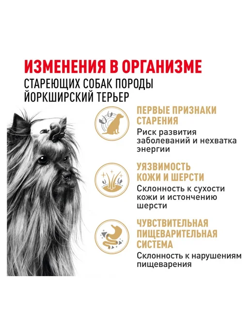 Сухой корм Royal canin Yorkshire Terrier для собак, взрослые, 0,5 кг, фото 4