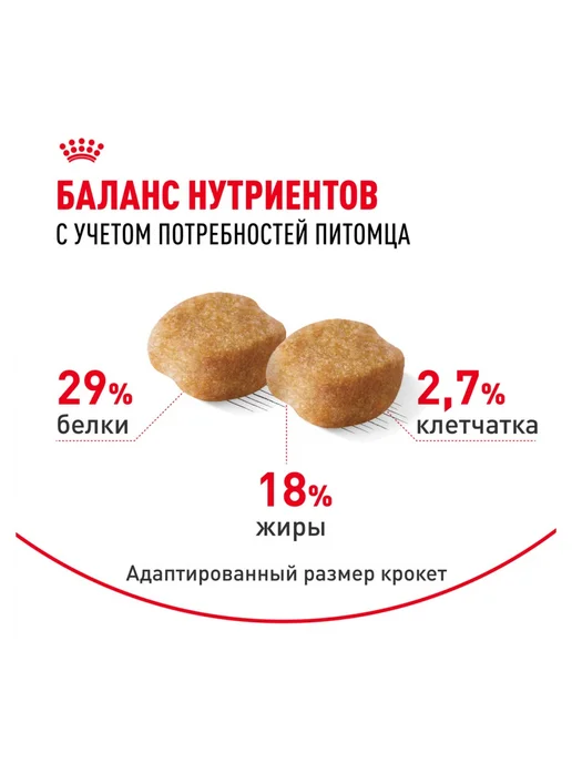Сухой корм Royal canin Yorkshire Terrier для собак, взрослые, 0,5 кг, фото 6