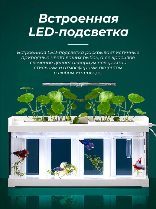 Аквариум для рыбок петушков с фильтром и подсветкой, белый, фото 5