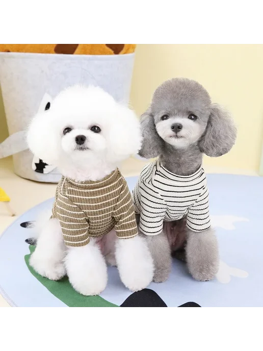 DOGGYZSTYLE Полосатая футболка из хлопка для собак, желтый, фото 6