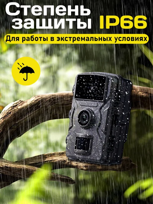 Фотоловушка для охоты и охраны, вариант, фото 2