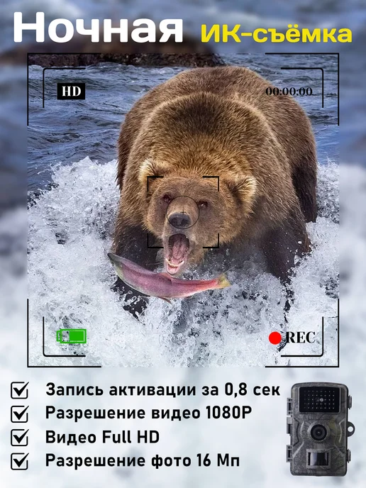 Фотоловушка для охоты и охраны, вариант, фото 3