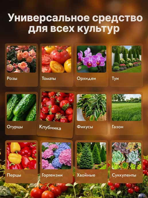 Биогумус жидкий 3 л, 3 л, фото 4