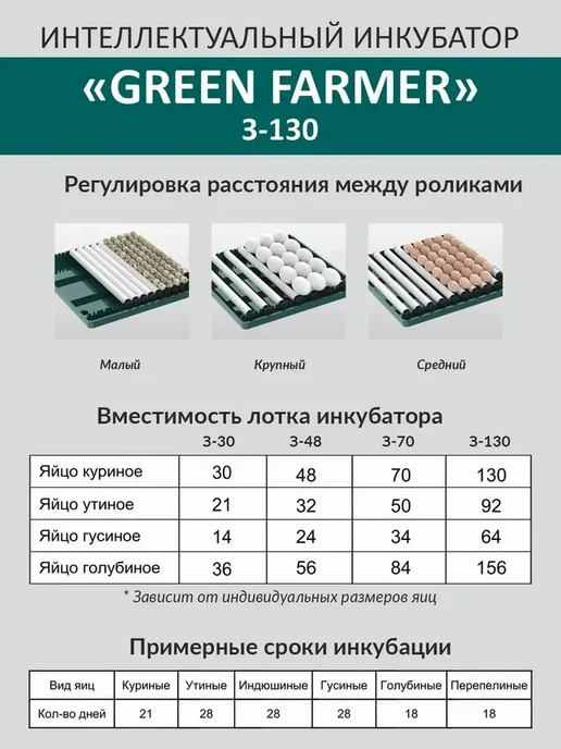 Инкубатор для яиц автоматический З-130, зеленый, фото 2