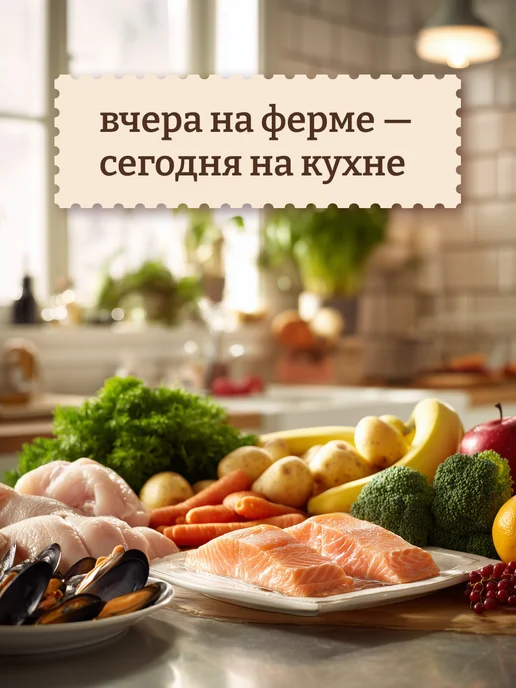 NOW'KITCHEN Влажный корм для стерилизованных кошек курица 6шт по 100г, 6 шт, 100 г, фото 5