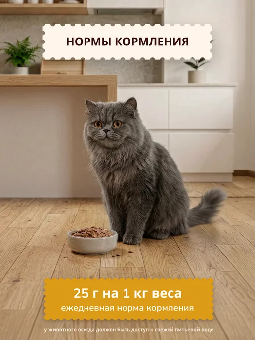 NOW'KITCHEN Влажный корм для стерилизованных кошек курица 6шт по 100г, 6 шт, 100 г, фото 7