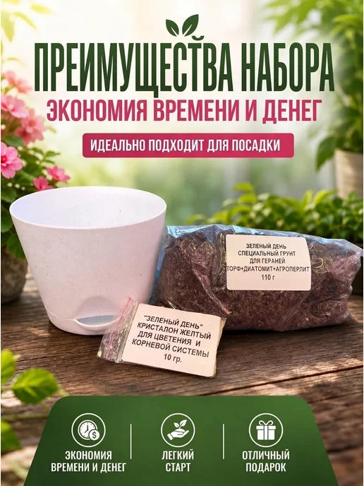 Готовый набор для выращивания цветов, вариант