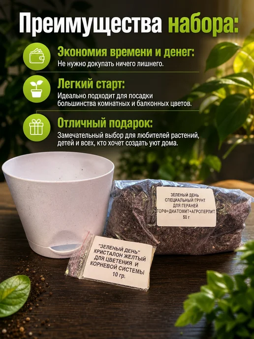 Готовый набор для выращивания цветов, вариант, фото 2