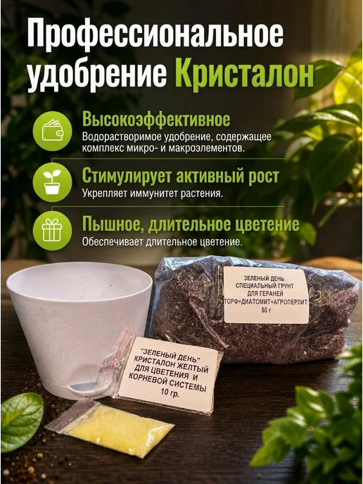Готовый набор для выращивания цветов, вариант, фото 4